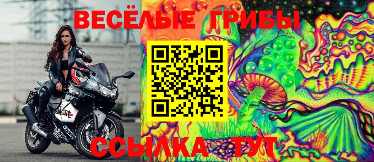 Галлюциногенные грибы прущие грибы Избербаш
