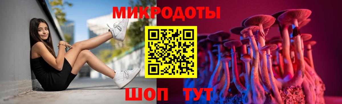 Галлюциногенные грибы Psilocybe  Вход с VPN  Псилоцибиновые грибы мицелий  Избербаш 